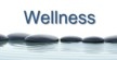 проект Wellness